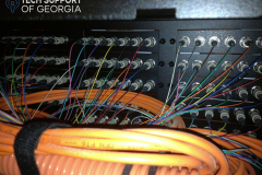 Fiber